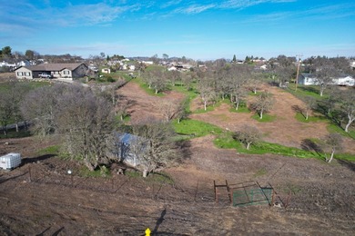 Discover the perfect blend of privacy, nature, and lake-area on The Club at Copper Valley Golf Course in California - for sale on GolfHomes.com, golf home, golf lot