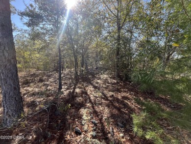 This over-sized corner lot is located in Unit 1 of the peaceful on Sunny Hills Golf and Country Club in Florida - for sale on GolfHomes.com, golf home, golf lot