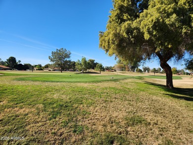 Discover the ultimate active adult living with this furnished on Coyote Run Golf Course in Arizona - for sale on GolfHomes.com, golf home, golf lot