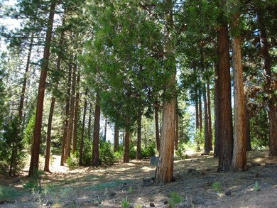 Claim your slice of paradise in the stunning, gated community of on Grizzly Ranch Golf Club in California - for sale on GolfHomes.com, golf home, golf lot