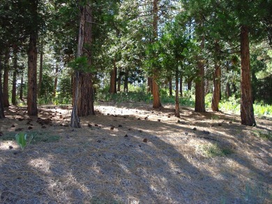 Claim your slice of paradise in the stunning, gated community of on Grizzly Ranch Golf Club in California - for sale on GolfHomes.com, golf home, golf lot