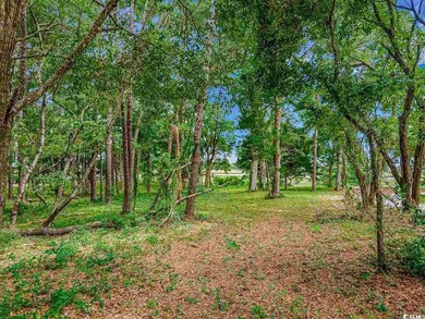 Do you want a rare, unique, and awesome opportunity to build on Tidewater Golf Club and Plantation in South Carolina - for sale on GolfHomes.com, golf home, golf lot
