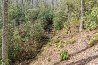 Located in the sought-after Lake Toxaway Estates, 459 West Club on Lake Toxaway Country Club in North Carolina - for sale on GolfHomes.com, golf home, golf lot