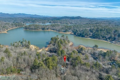 Located in the sought-after Lake Toxaway Estates, 459 West Club on Lake Toxaway Country Club in North Carolina - for sale on GolfHomes.com, golf home, golf lot
