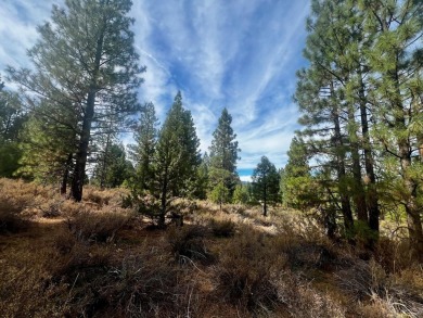 Backing to 18th Fairway of The Dragon at Nakoma! This homesite on Nakoma Golf Resort in California - for sale on GolfHomes.com, golf home, golf lot