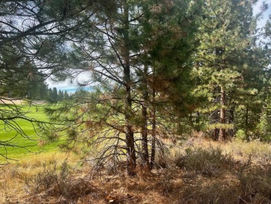 Backing to 18th Fairway of The Dragon at Nakoma! This homesite on Nakoma Golf Resort in California - for sale on GolfHomes.com, golf home, golf lot