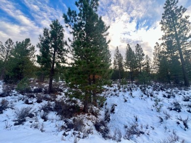 Backing to 18th Fairway of The Dragon at Nakoma! This homesite on Nakoma Golf Resort in California - for sale on GolfHomes.com, golf home, golf lot