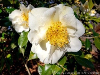 This gorgeous home is ready for its new owner. Nestled in the on Carolina Trace Country Club in North Carolina - for sale on GolfHomes.com, golf home, golf lot