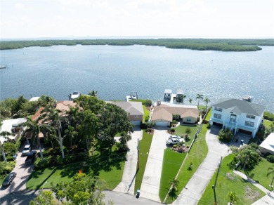 THE INTANGIBLE VALUE OF THIS 3 BEDROOM 2 FULL BATH, 2 HALF BATH on Mangrove Bay Golf Course in Florida - for sale on GolfHomes.com, golf home, golf lot