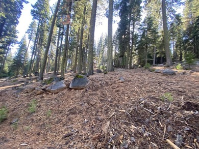 An amazing opportunity! With the amenities of the Lake Almanor on  in California - for sale on GolfHomes.com, golf home, golf lot