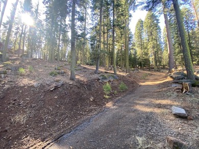 An amazing opportunity! With the amenities of the Lake Almanor on  in California - for sale on GolfHomes.com, golf home, golf lot