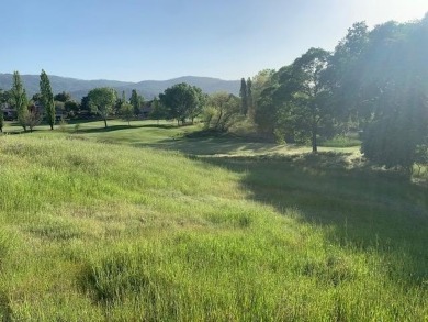 This is a Very Large Premium Lot (.32 Acres) in Greenhorn Creek on Greenhorn Creek Resort in California - for sale on GolfHomes.com, golf home, golf lot