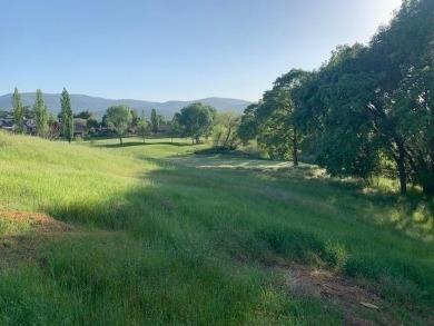 This is a Very Large Premium Lot (.32 Acres) in Greenhorn Creek on Greenhorn Creek Resort in California - for sale on GolfHomes.com, golf home, golf lot