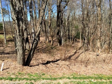 This Three-Quarter-Acre estate lot is on a quiet street in the on Trillium Links in North Carolina - for sale on GolfHomes.com, golf home, golf lot