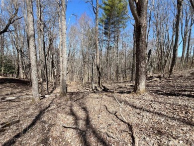 This Three-Quarter-Acre estate lot is on a quiet street in the on Trillium Links in North Carolina - for sale on GolfHomes.com, golf home, golf lot