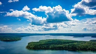 Experience the pinnacle of lakefront luxury in this furnished on  in Arkansas - for sale on GolfHomes.com, golf home, golf lot