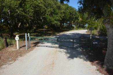 Best of the best! Rare creek front with dock on one side and on The Plantation Course At Edisto in South Carolina - for sale on GolfHomes.com, golf home, golf lot