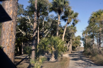 Best of the best! Rare creek front with dock on one side and on The Plantation Course At Edisto in South Carolina - for sale on GolfHomes.com, golf home, golf lot