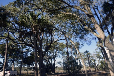 Best of the best! Rare creek front with dock on one side and on The Plantation Course At Edisto in South Carolina - for sale on GolfHomes.com, golf home, golf lot