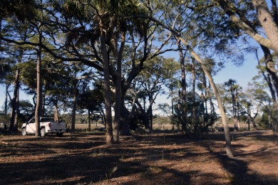 Best of the best! Rare creek front with dock on one side and on The Plantation Course At Edisto in South Carolina - for sale on GolfHomes.com, golf home, golf lot