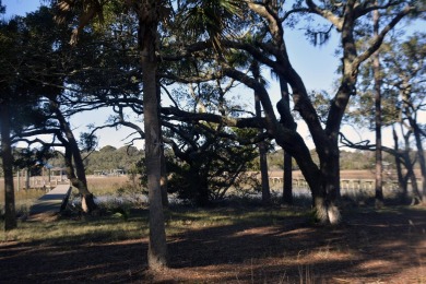 Best of the best! Rare creek front with dock on one side and on The Plantation Course At Edisto in South Carolina - for sale on GolfHomes.com, golf home, golf lot