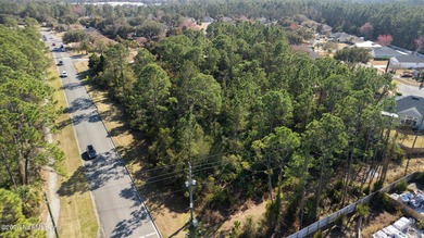 Build the home of your dreams in the incredible established on St. Augustine Shores Golf Club in Florida - for sale on GolfHomes.com, golf home, golf lot