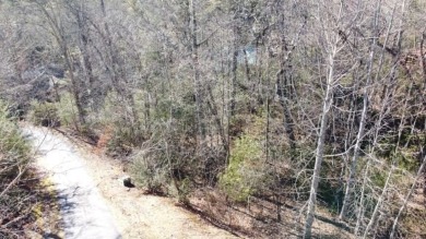 This corner lot offers a nearly flat, easy-access building on Trillium Links in North Carolina - for sale on GolfHomes.com, golf home, golf lot