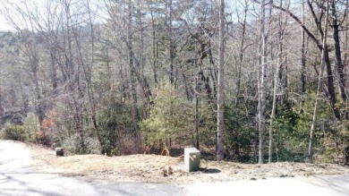 This corner lot offers a nearly flat, easy-access building on Trillium Links in North Carolina - for sale on GolfHomes.com, golf home, golf lot