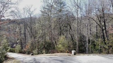 This corner lot offers a nearly flat, easy-access building on Trillium Links in North Carolina - for sale on GolfHomes.com, golf home, golf lot