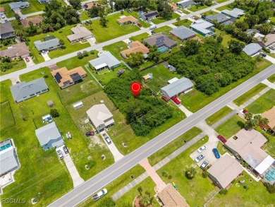 Your Slice of Florida Paradise Awaits Imagine building your on Port Charlotte Golf Club in Florida - for sale on GolfHomes.com, golf home, golf lot