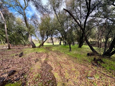 Luxury golf course living at this very private .69 acre premier on Greenhorn Creek Resort in California - for sale on GolfHomes.com, golf home, golf lot