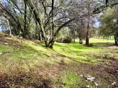 Luxury golf course living at this very private .69 acre premier on Greenhorn Creek Resort in California - for sale on GolfHomes.com, golf home, golf lot