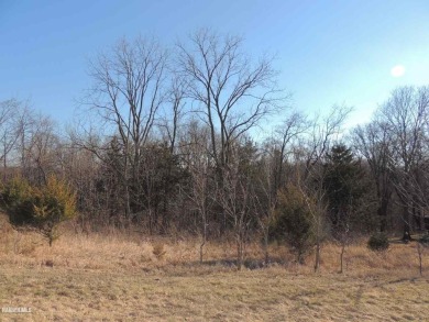 Nestle your dream home within this beautifully treed rear on Eagle Ridge Inn and Resort in Illinois - for sale on GolfHomes.com, golf home, golf lot