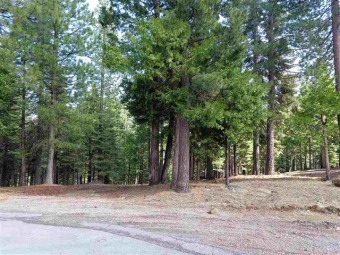 Beautiful parcel in Lake Almanor West. Mostly level. Located on on Lake Almanor West Golf Course in California - for sale on GolfHomes.com, golf home, golf lot