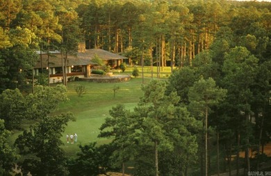 Beautiful Diamante Golf Course Lot .43 Acres  Sits high on Diamante Golf and Country Club in Arkansas - for sale on GolfHomes.com, golf home, golf lot