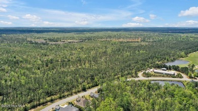 Quality & style combine with this home in Brunswick Forest. This on Cape Fear National At Brunswick Forest in North Carolina - for sale on GolfHomes.com, golf home, golf lot