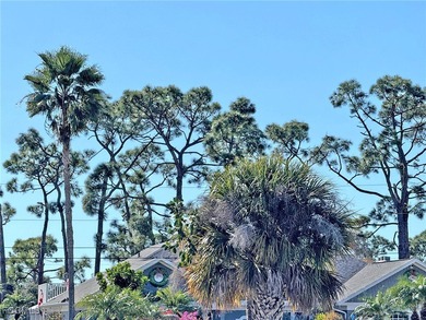 This charming, walkable neighborhood is surrounded by both new on Palmetto-Pine Country Club in Florida - for sale on GolfHomes.com, golf home, golf lot