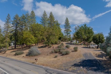 Build your dream mountain home on this oversized .39 acre lot on Forest Meadows Golf Course in California - for sale on GolfHomes.com, golf home, golf lot