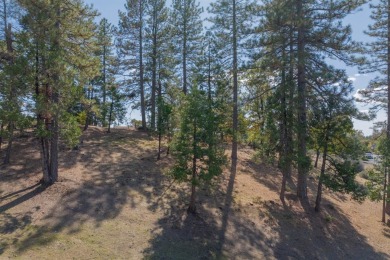 Build your dream mountain home on this oversized .39 acre lot on Forest Meadows Golf Course in California - for sale on GolfHomes.com, golf home, golf lot