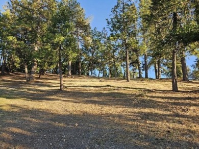 Build your dream mountain home on this oversized .39 acre lot on Forest Meadows Golf Course in California - for sale on GolfHomes.com, golf home, golf lot