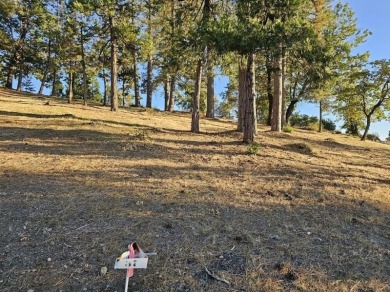 Build your dream mountain home on this oversized .39 acre lot on Forest Meadows Golf Course in California - for sale on GolfHomes.com, golf home, golf lot