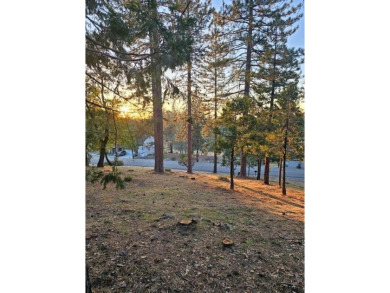 Build your dream mountain home on this oversized .39 acre lot on Forest Meadows Golf Course in California - for sale on GolfHomes.com, golf home, golf lot