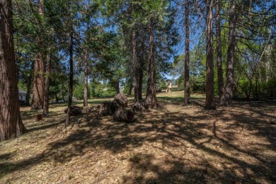 Location, Plans & Water/Sewer already included ($26k+ value)!!! on Forest Meadows Golf Course in California - for sale on GolfHomes.com, golf home, golf lot