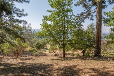 Stunning VIEWS and value! This beautiful .27 acre lot nestled in on Forest Meadows Golf Course in California - for sale on GolfHomes.com, golf home, golf lot