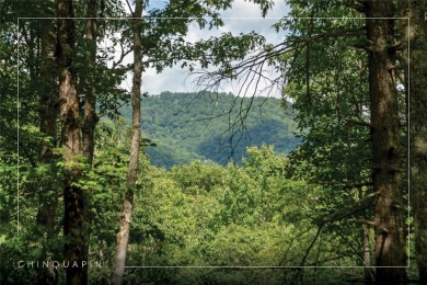 Gorgeous mountain view lot with a very gentle home site sitting on Natures Walk At Chinquapin in North Carolina - for sale on GolfHomes.com, golf home, golf lot