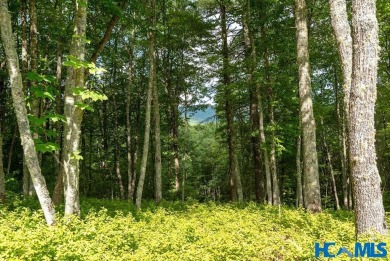 Gorgeous mountain view lot with a very gentle home site sitting on Natures Walk At Chinquapin in North Carolina - for sale on GolfHomes.com, golf home, golf lot