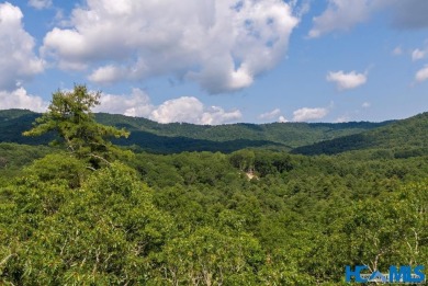 Gorgeous mountain view lot with a very gentle home site sitting on Natures Walk At Chinquapin in North Carolina - for sale on GolfHomes.com, golf home, golf lot