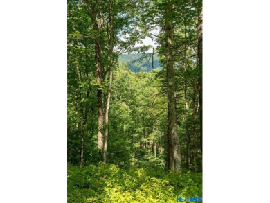 Gorgeous mountain view lot with a very gentle home site sitting on Natures Walk At Chinquapin in North Carolina - for sale on GolfHomes.com, golf home, golf lot