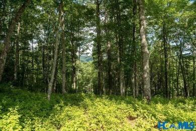 Gorgeous mountain view lot with a very gentle home site sitting on Natures Walk At Chinquapin in North Carolina - for sale on GolfHomes.com, golf home, golf lot