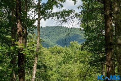 Gorgeous mountain view lot with a very gentle home site sitting on Natures Walk At Chinquapin in North Carolina - for sale on GolfHomes.com, golf home, golf lot